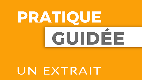 Vidéo Pratique guidée - Un extrait (François P. Lagacé)